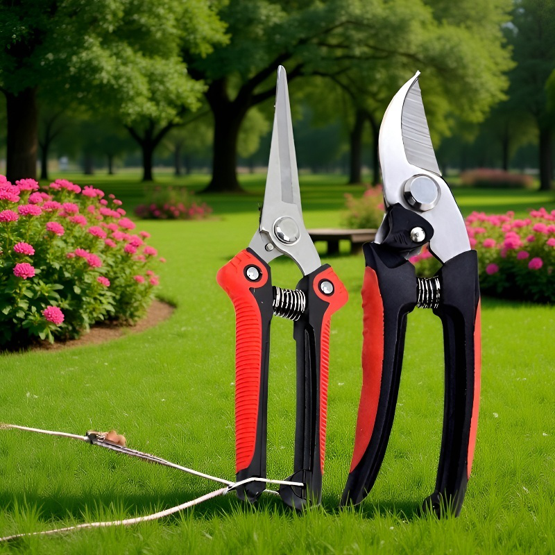 剪定用細かいハサミのクローズアップ