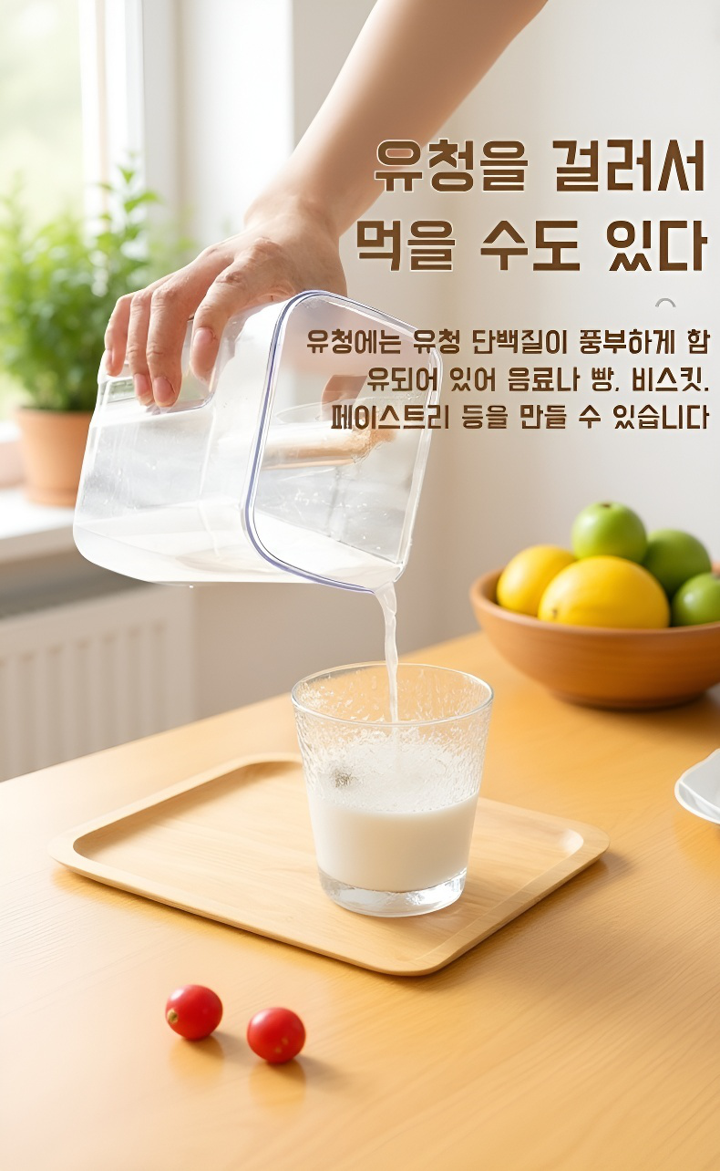 가정용 요거트기와 치즈기 세트