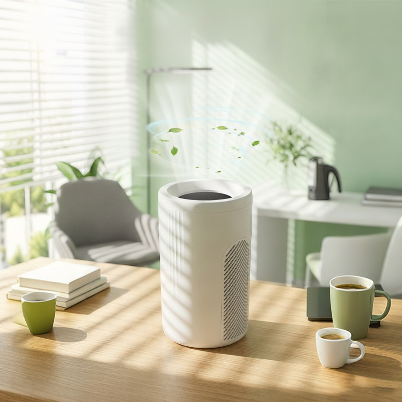 Portable Home Air Purifier for Smoke and Dust