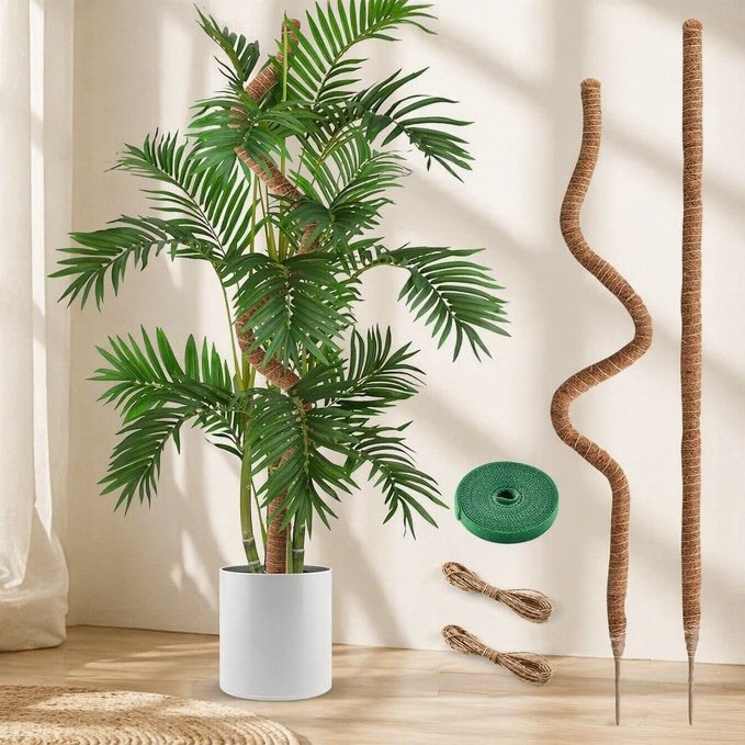 Creative Monstera Support Moss Pole