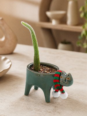 Custom Cat Tail Shaped Ceramic Flower Pot, Adorable Succulent Planter