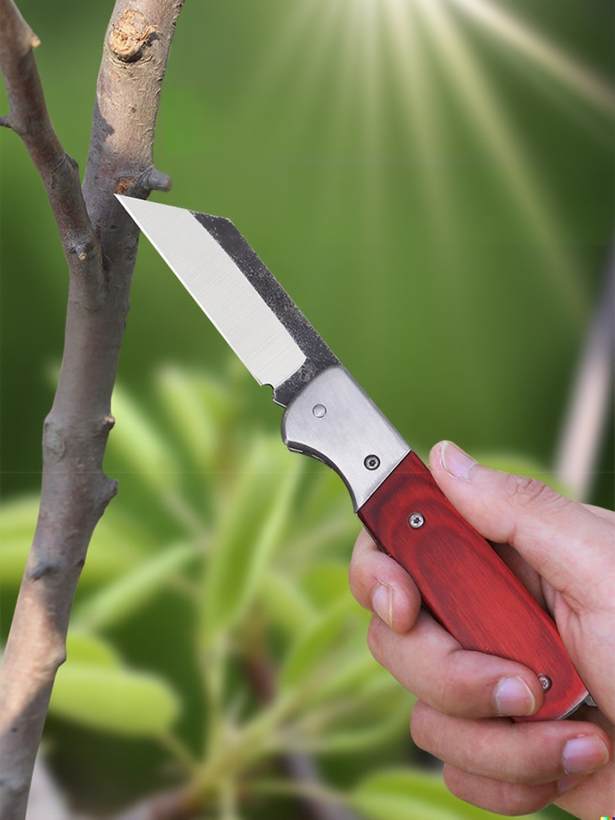 Składany nóż do szczepienia z drewnianą rączką