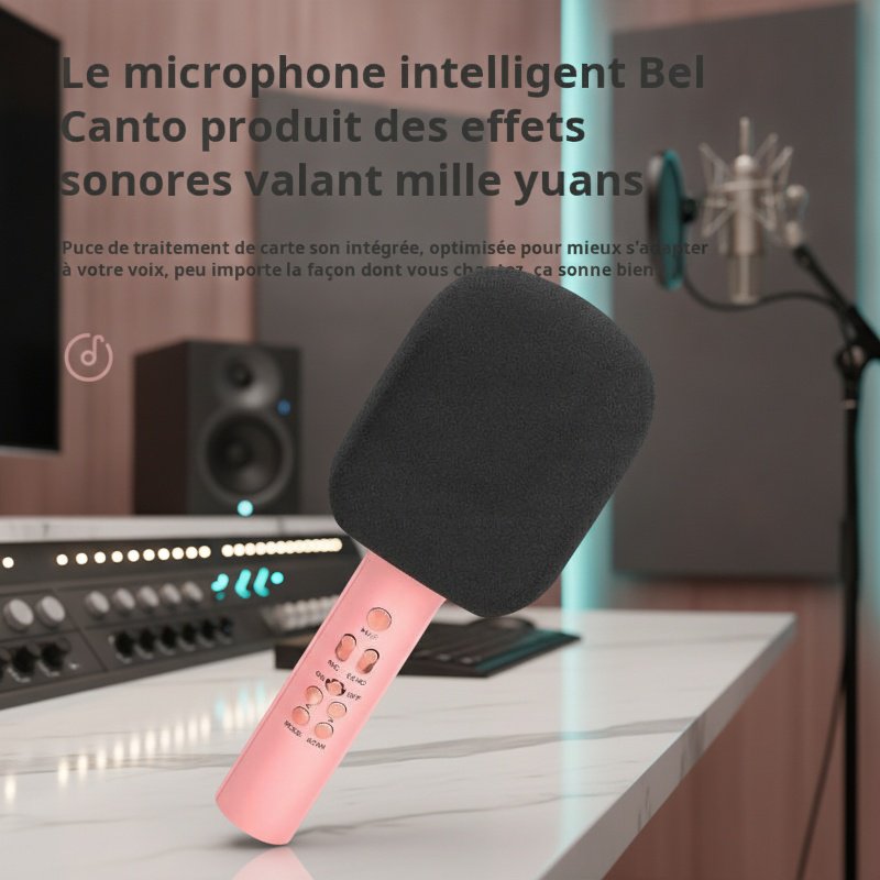Microphone de chant sans fil Bluetooth avec haute qualité sonore