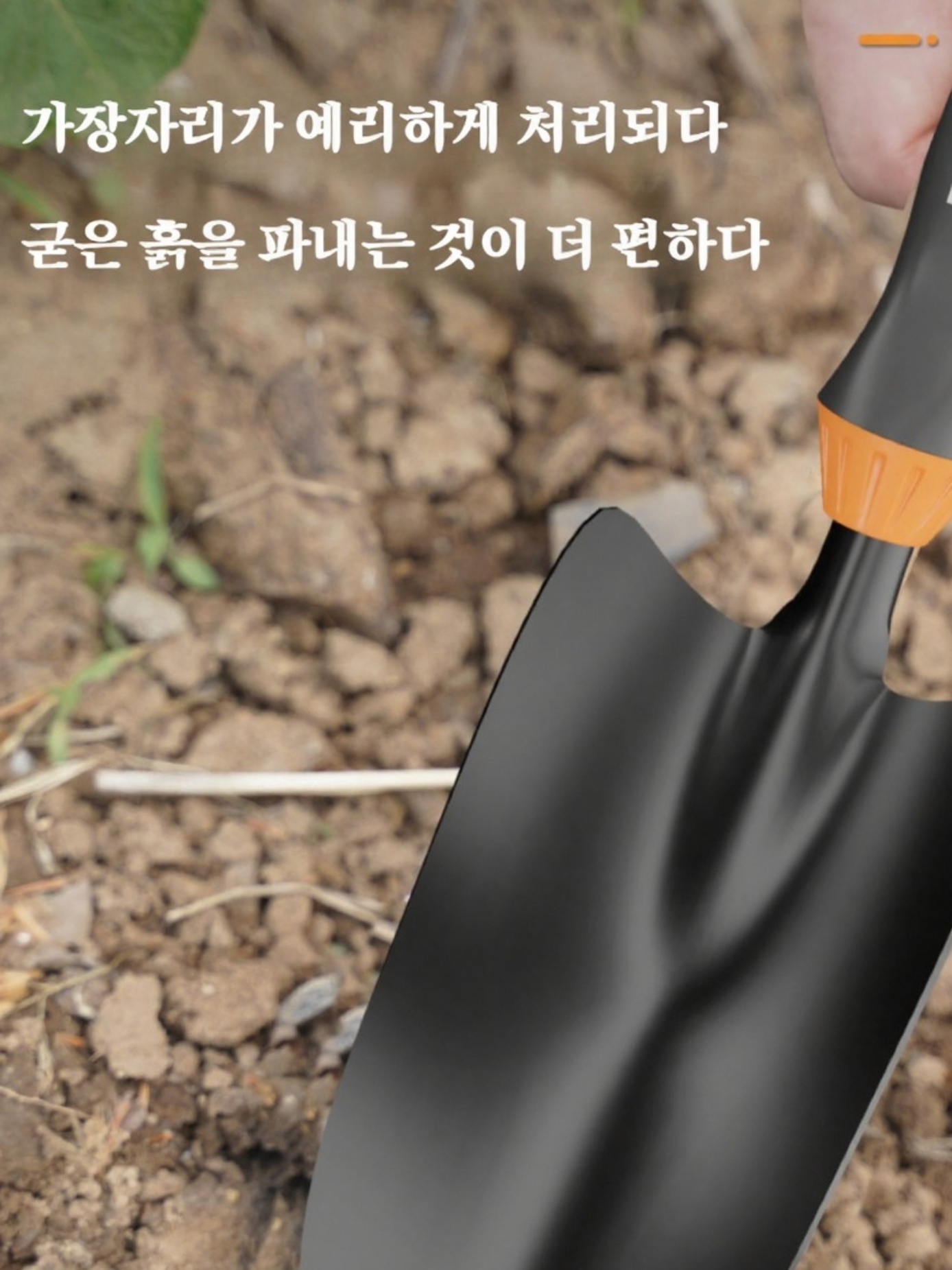 가정용 분재 꽃 가꾸기 세트