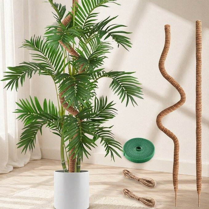 Creative Monstera Support Moss Pole