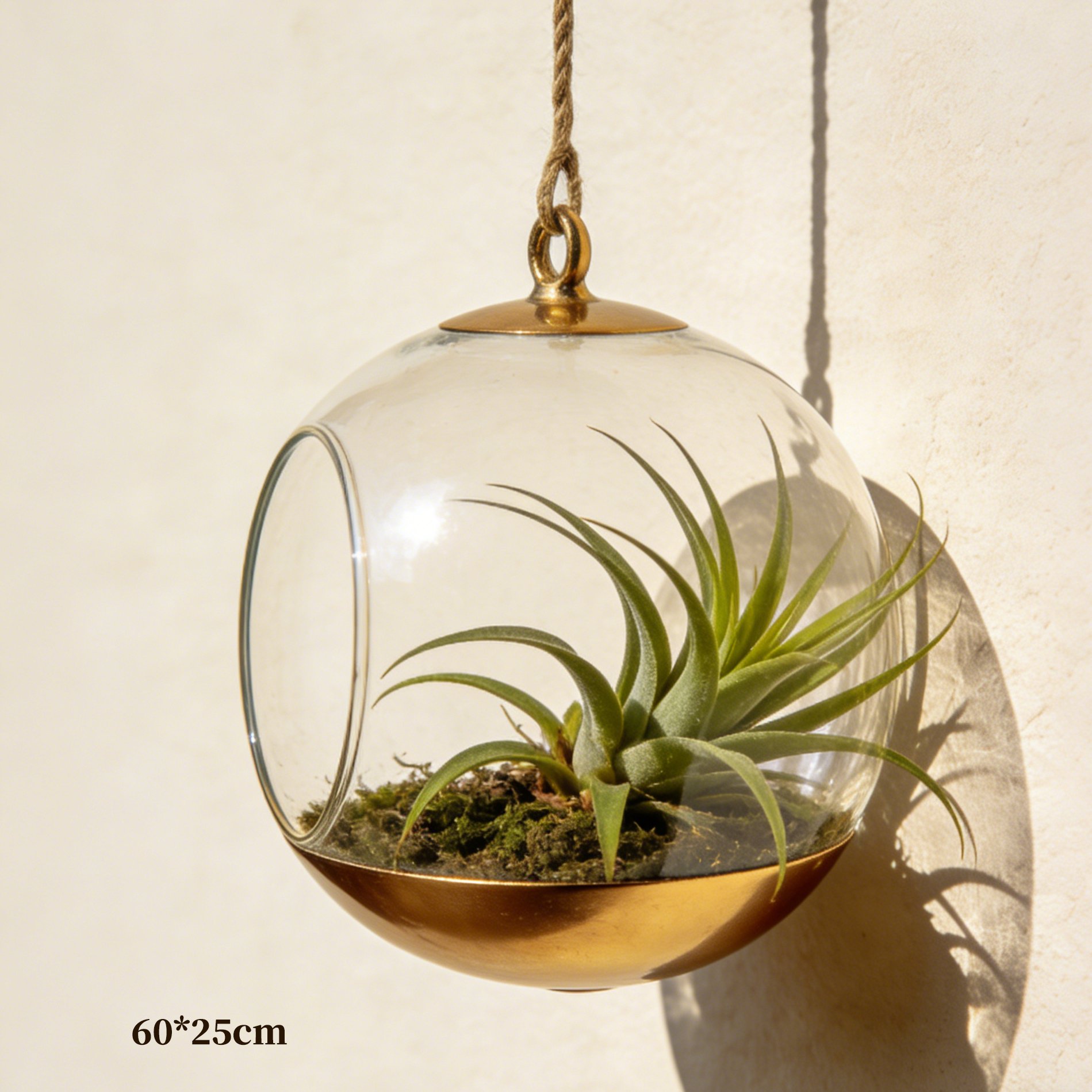 現代家居裝飾玻璃花盆