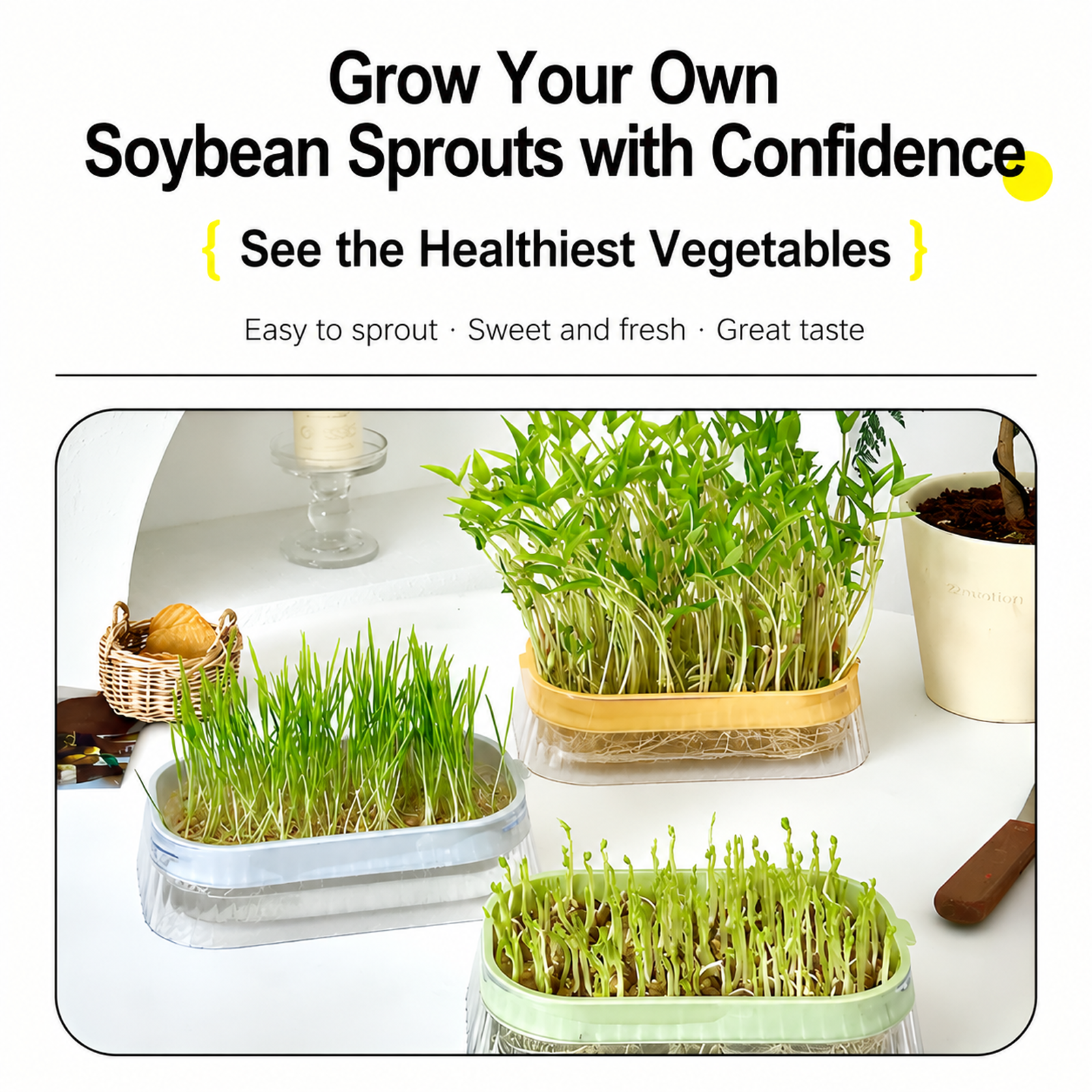 Hydroponic boxes for bean sprouts, hydroponic trays for soilless cultivation, seedling trays for veg