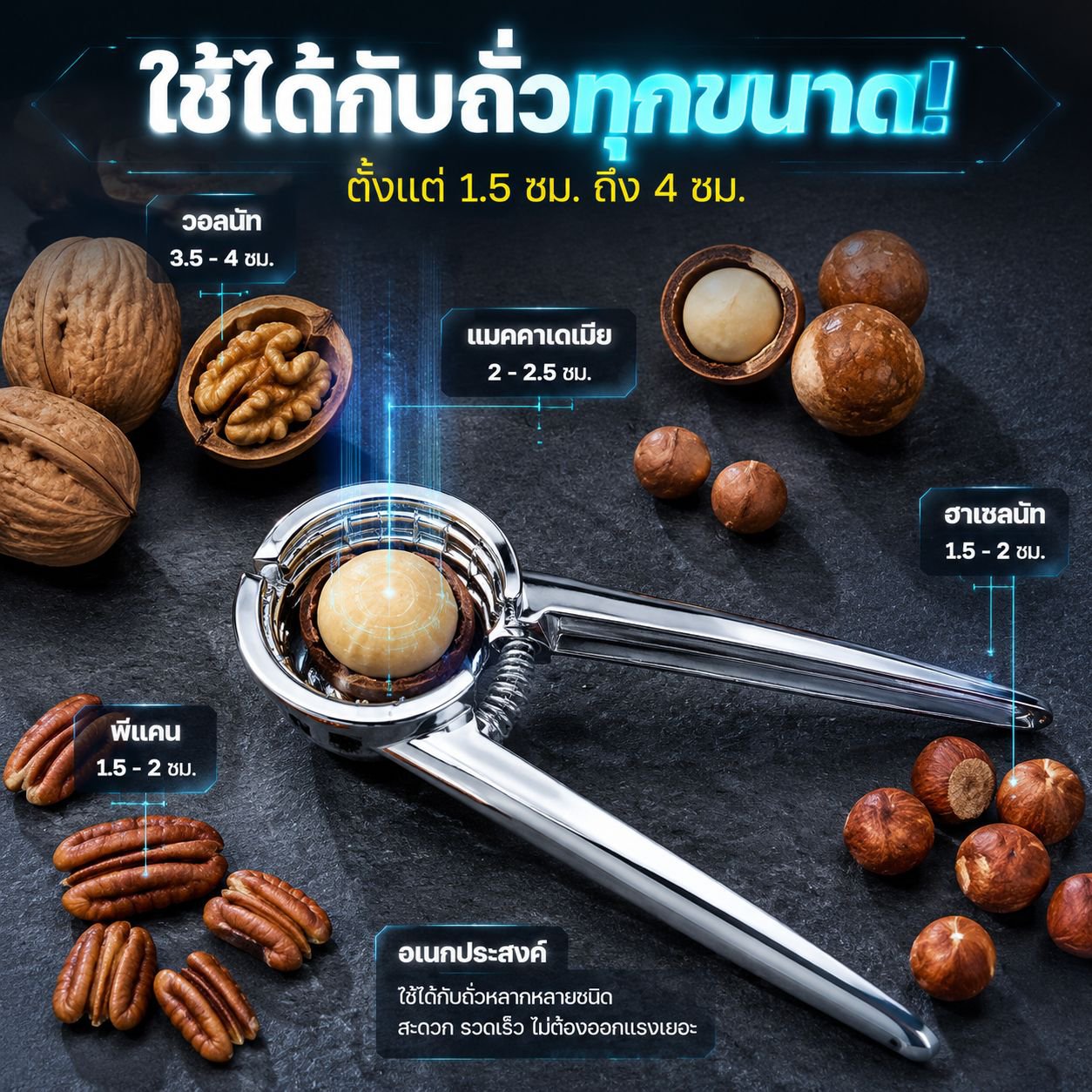 ที่หนีบเปลือกถั่ววอลนัทอเนกประสงค์สำหรับใช้ในบ้าน