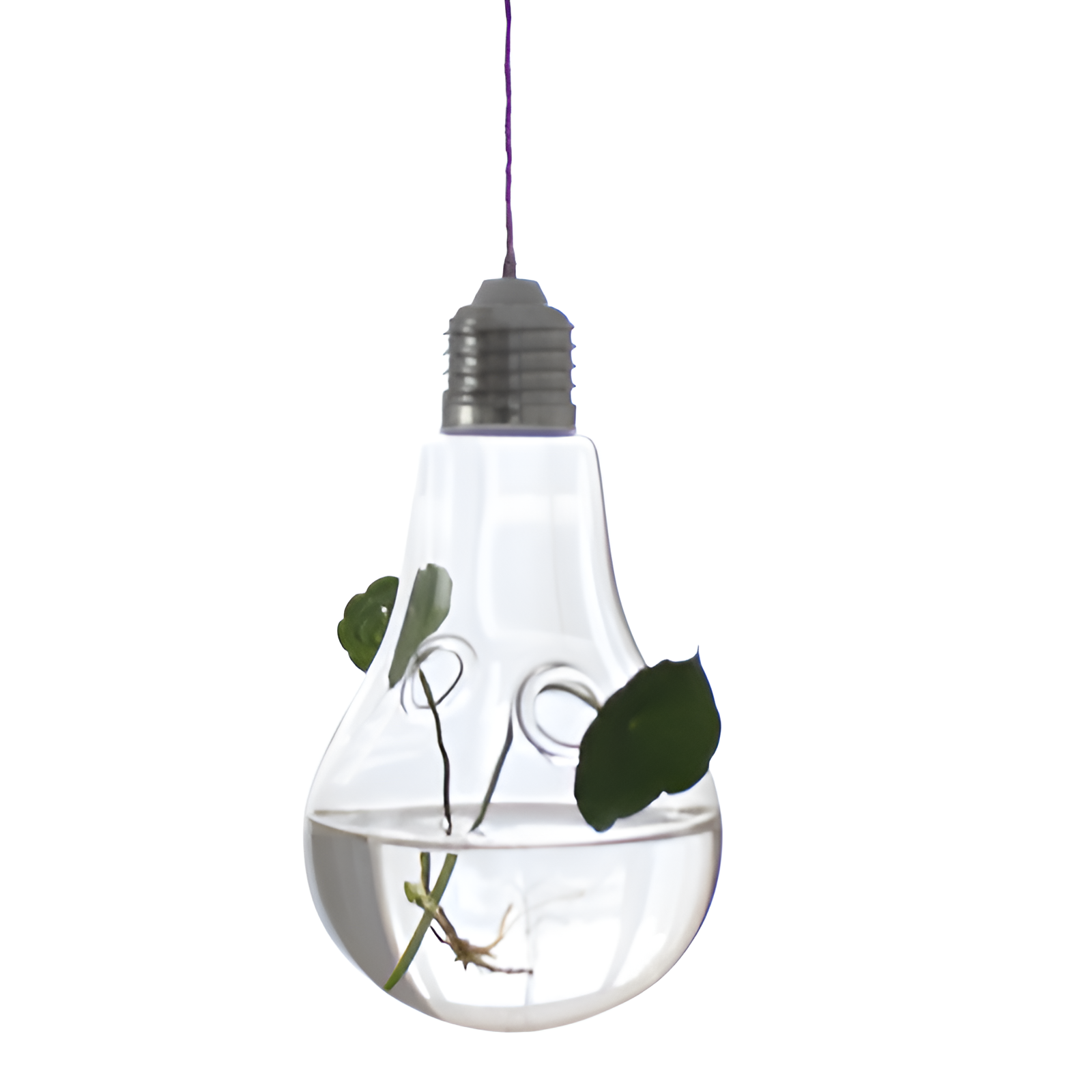 Récipient suspendu pour fleurs hydroponiques