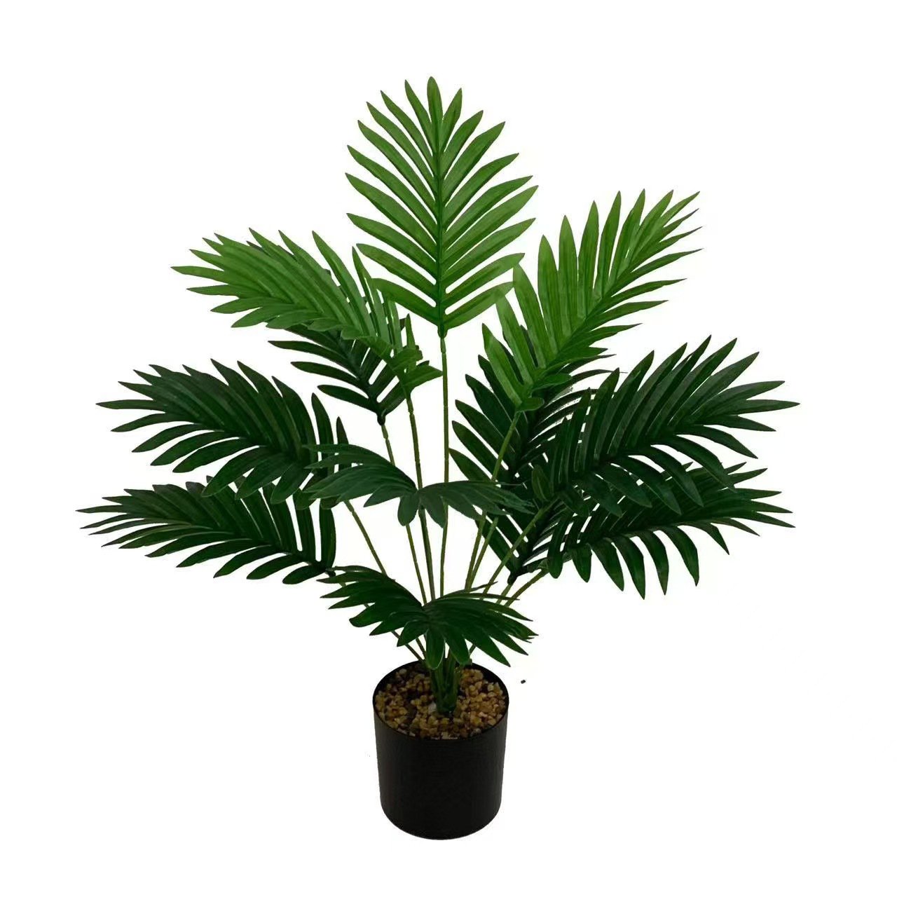 アレカヤシ鉢植え植物