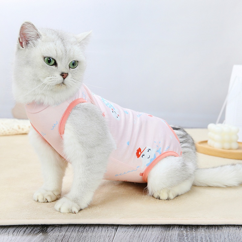 避妊・去勢手術を受けるメス猫用の暖かい服