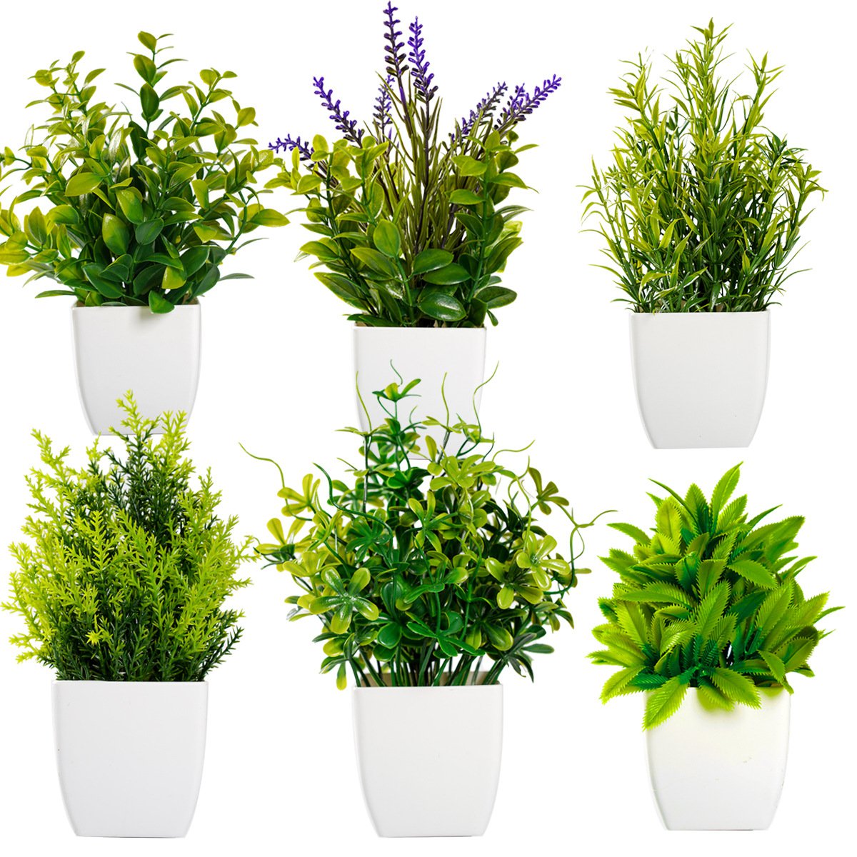 盆栽綠色植物薰衣草盆栽