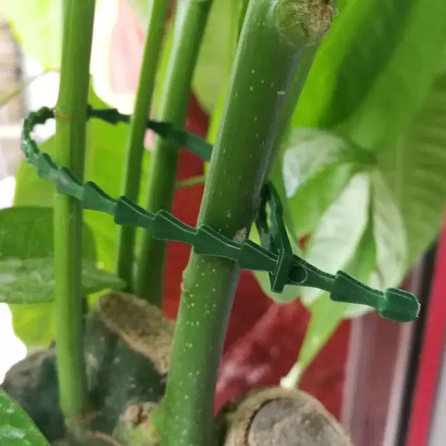 Detachable garden fishbone binding wire