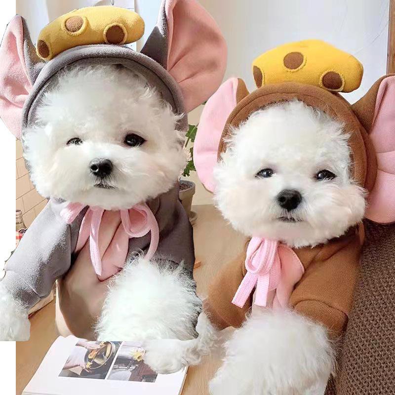 All-Season Fashion Outfits for Pets