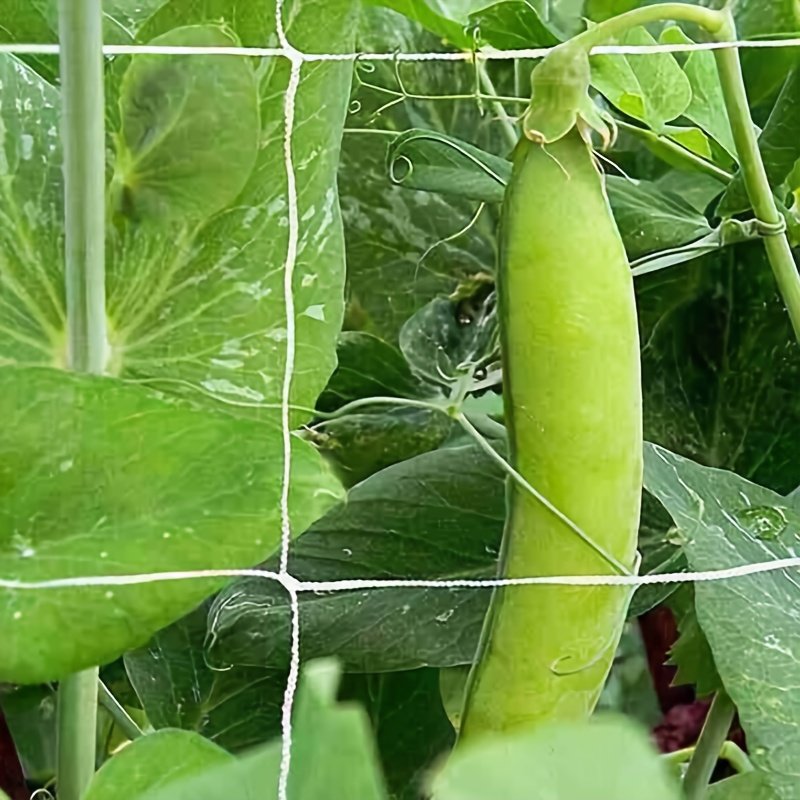 Garden Plant Support Net, 5 ft × 15 ft