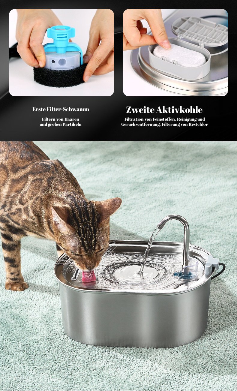 Katzen-Trinkbrunnen mit Filtersystem aus der Nähe
