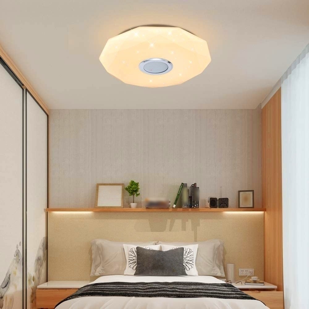 Multifunctional Smart Ceiling Fixture