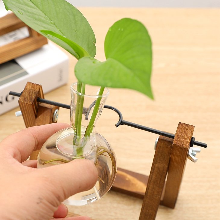 Vase moderne pour fleurs séchées en décoration