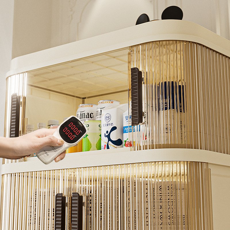 Multi-functional Clothes and Sundries Organizer Cabinet