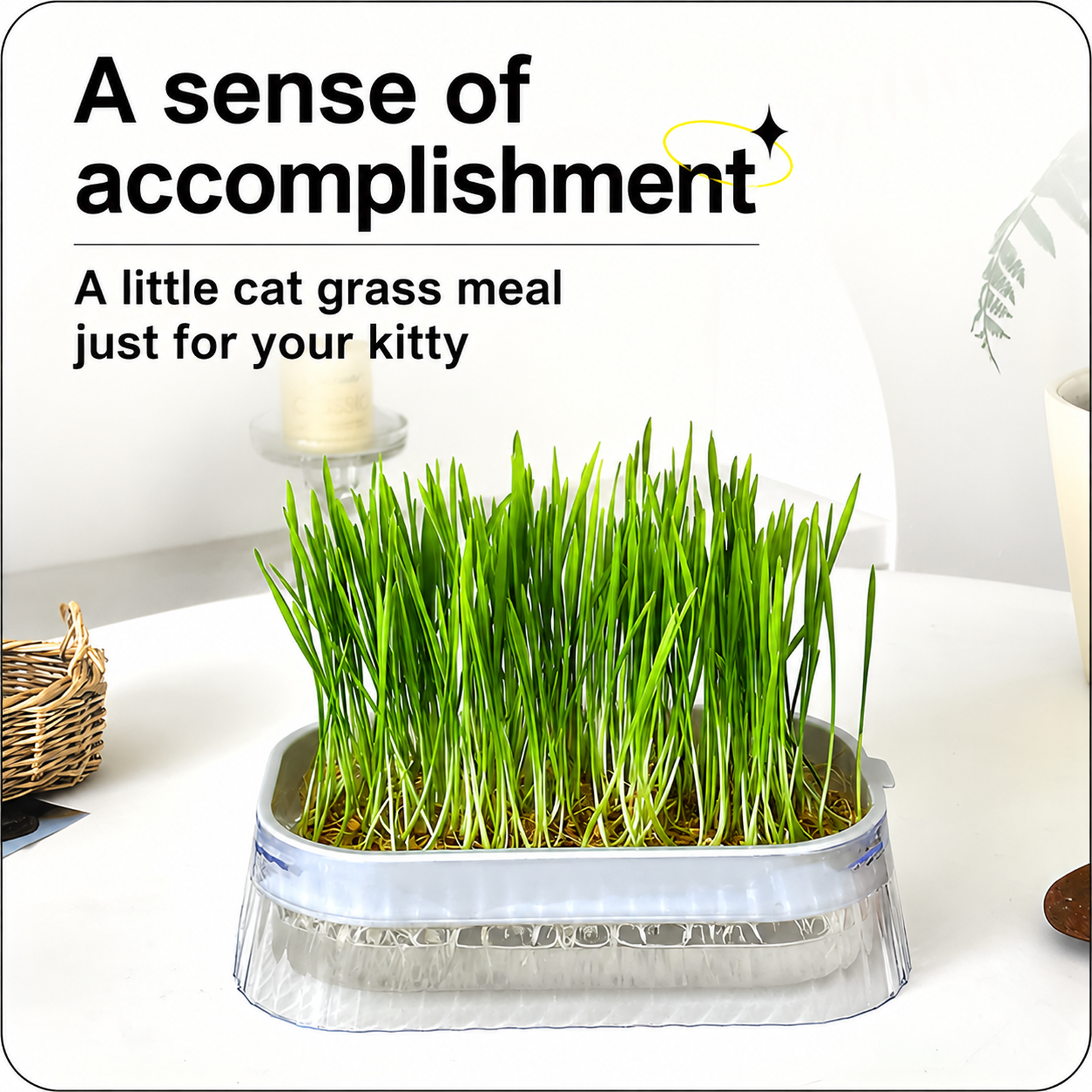 Hydroponic boxes for bean sprouts, hydroponic trays for soilless cultivation, seedling trays for veg