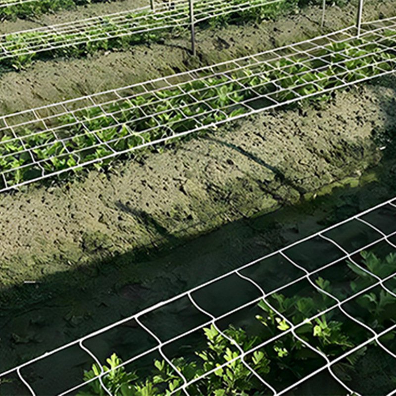 Garden Plant Support Trellis Net