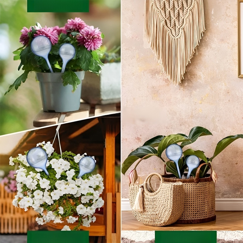 室内観葉植物用自動給水ガラスボール