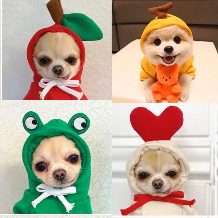 All-Season Fashion Outfits for Pets