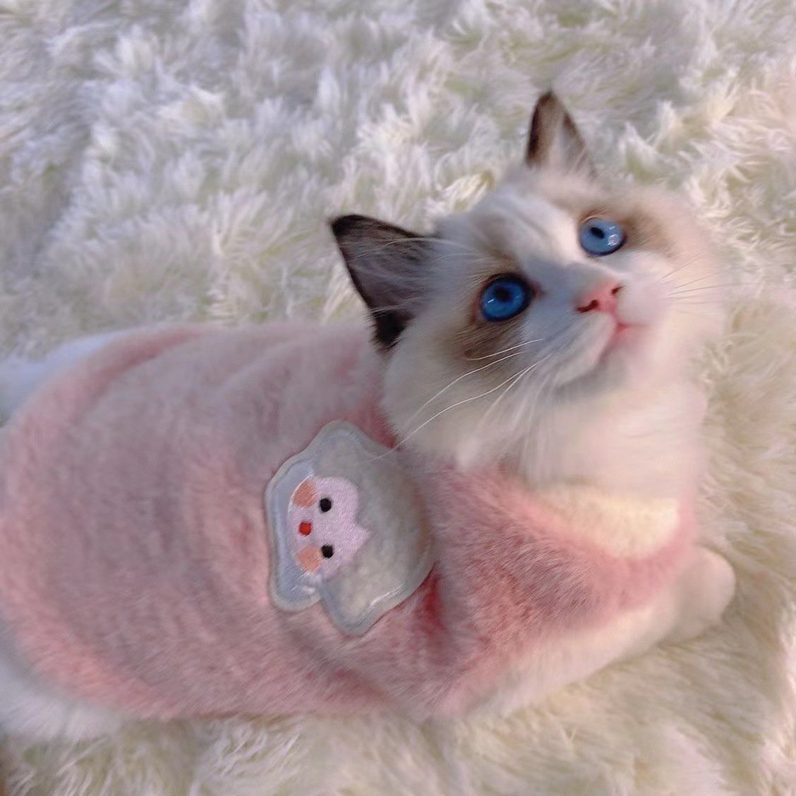 かわいい冬の猫ベスト、暖かい羊毛ペット衣装