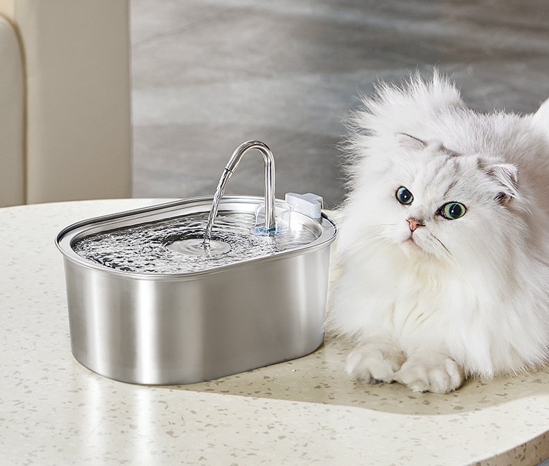 Katzenbrunnen mit Filter für die tägliche Wasserversorgung
