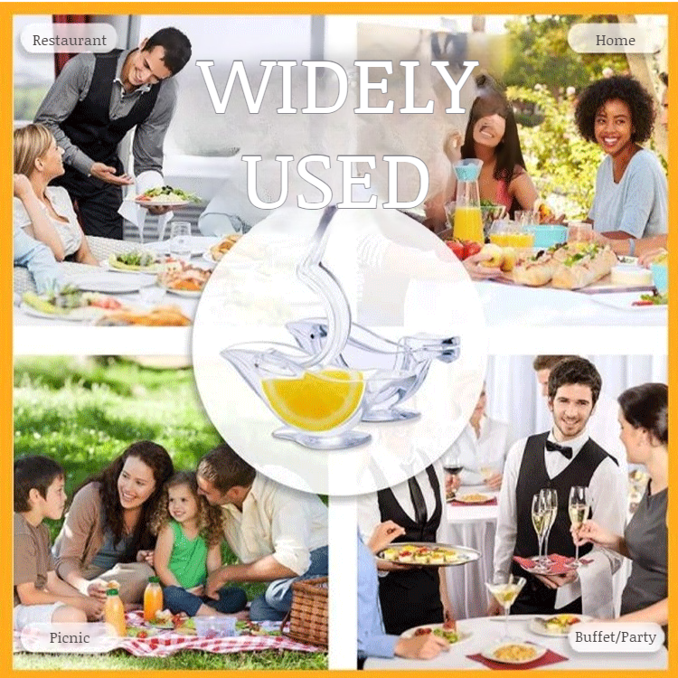 Portable Manual Citrus Juicer
