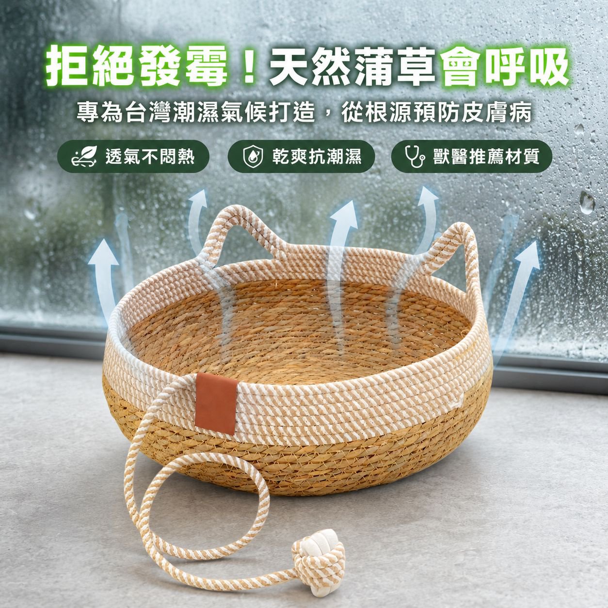 可拆卸貓抓床 四季通用寵物睡墊