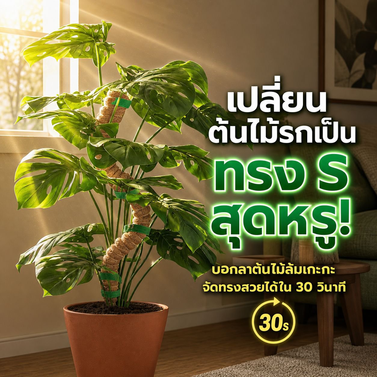เสาใยมะพร้าวสำหรับพืชในสวน เสาดัดโค้งได้ เสาตกแต่งมอสในร่ม
