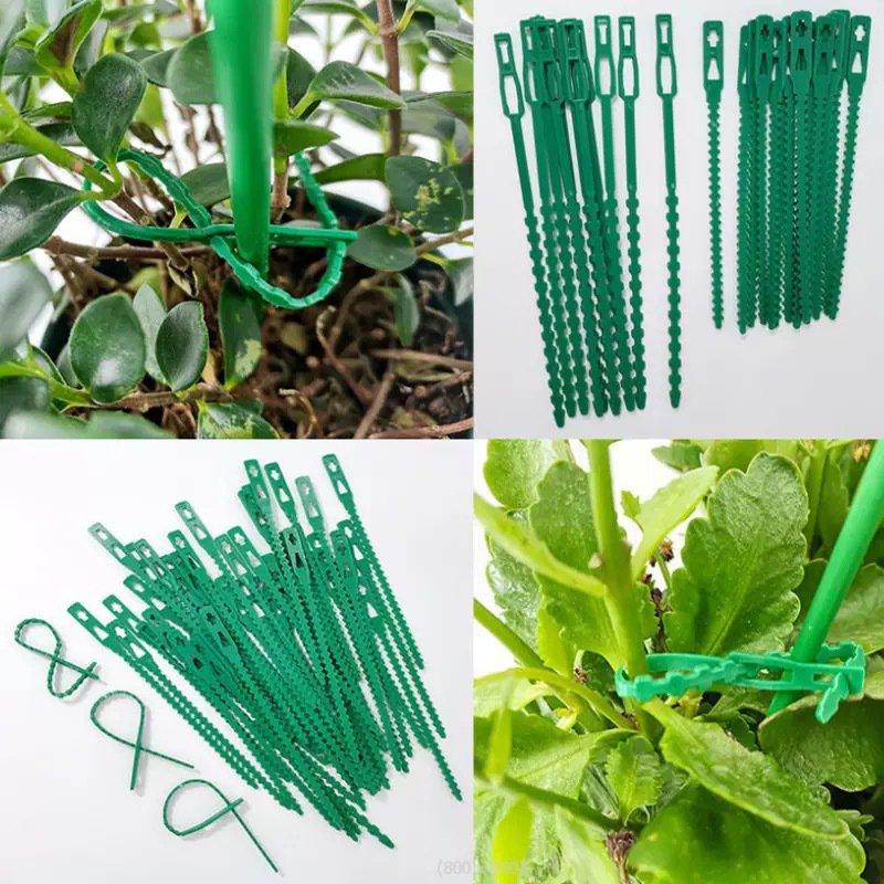 Detachable garden fishbone binding wire