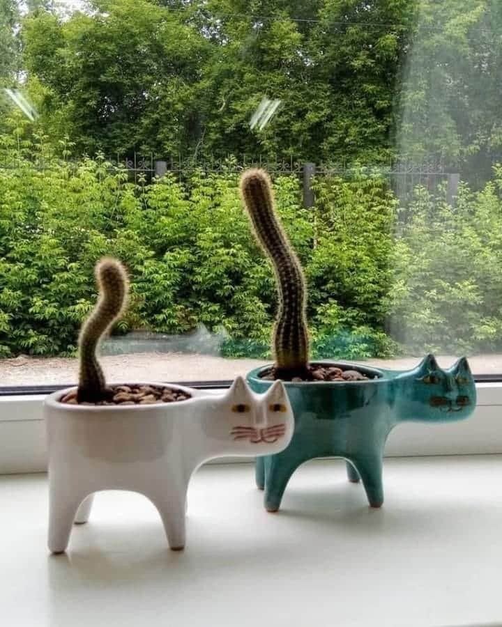 Custom Cat Tail Shaped Ceramic Flower Pot, Adorable Succulent Planter