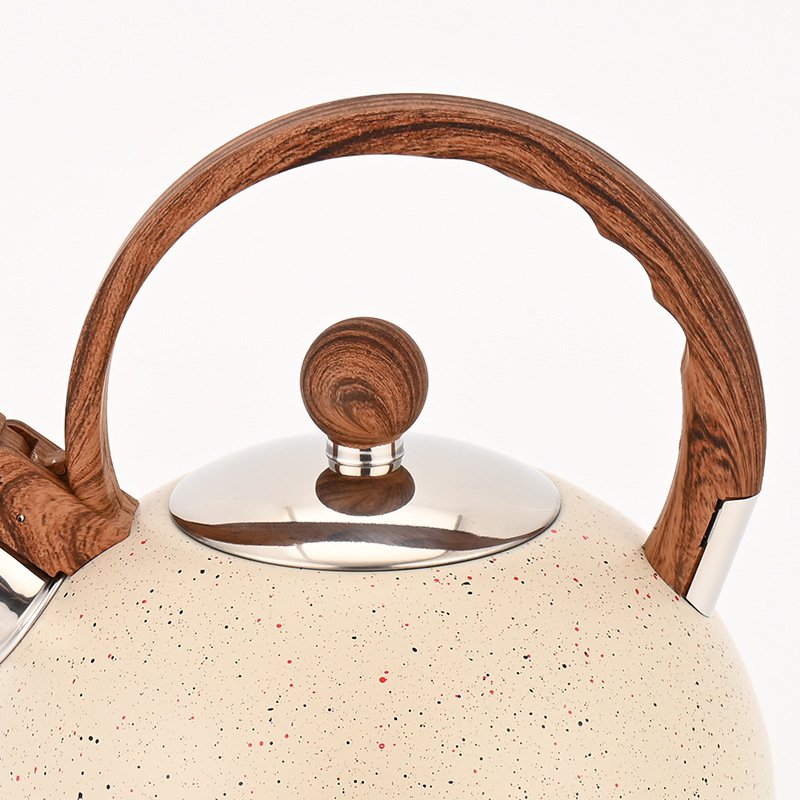 ステンレス製家庭用ケトル