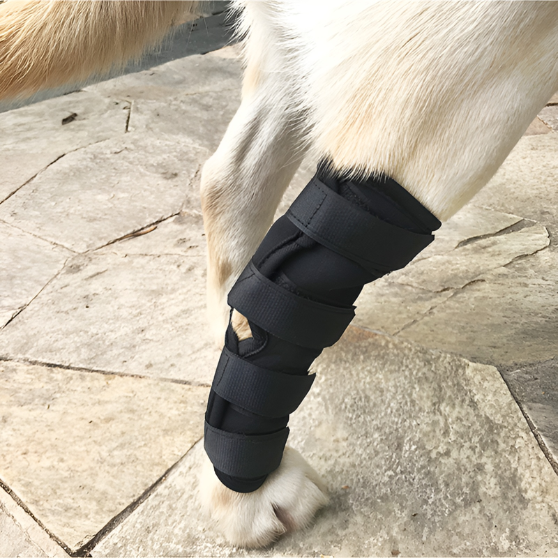 犬の脚プロテクター