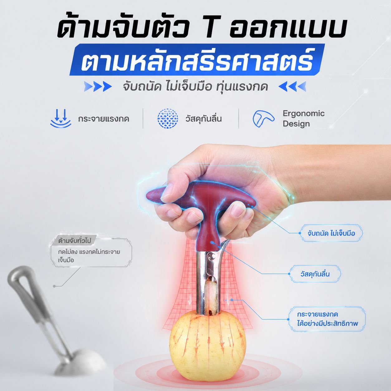 เครื่องมือคว้านผลไม้ดีไซน์ใหม่ ที่เอาไส้แอปเปิ้ลสแตนเลส