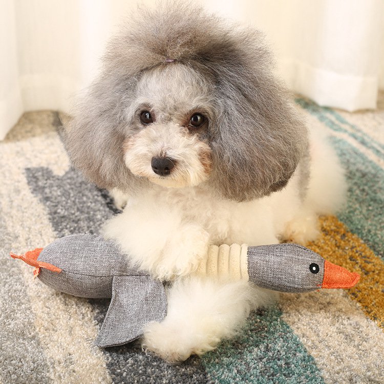 Peluche Chien Oie Parlant