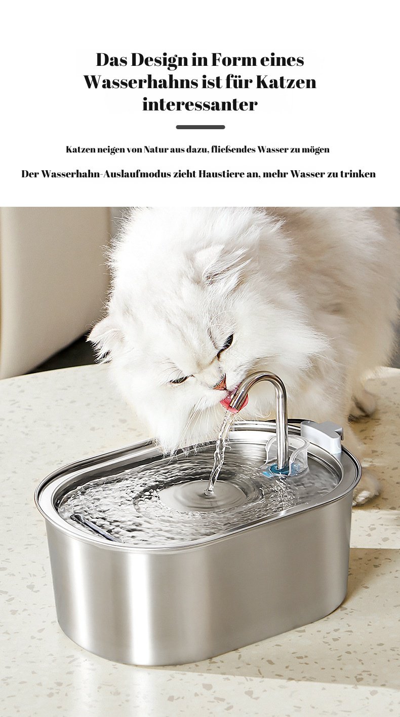 Edelstahl-Wasserbrunnen für Katzen im Überblick