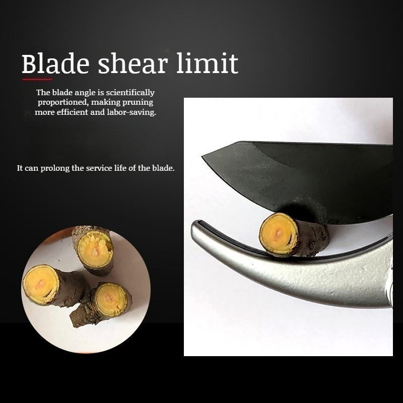 Garden Pruning Shears