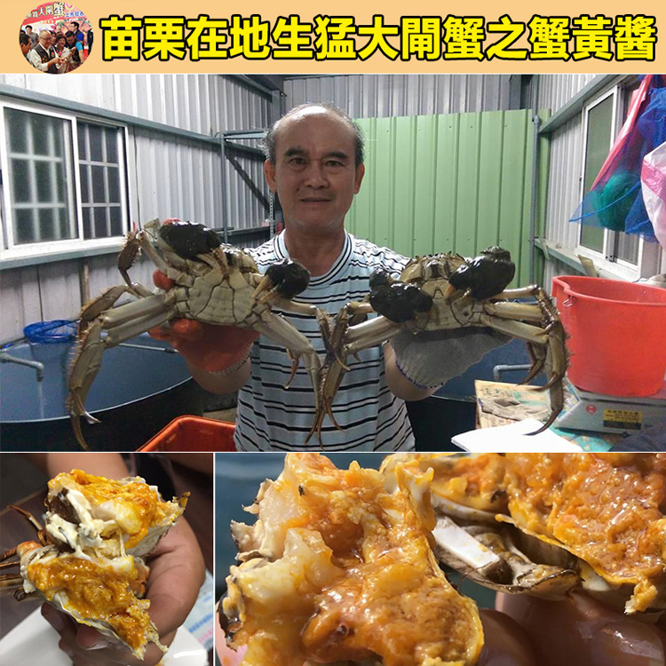 台灣製作【老字號】精選鮮味拌飯醬