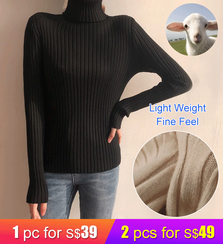 Knit Turtleneck Sweater