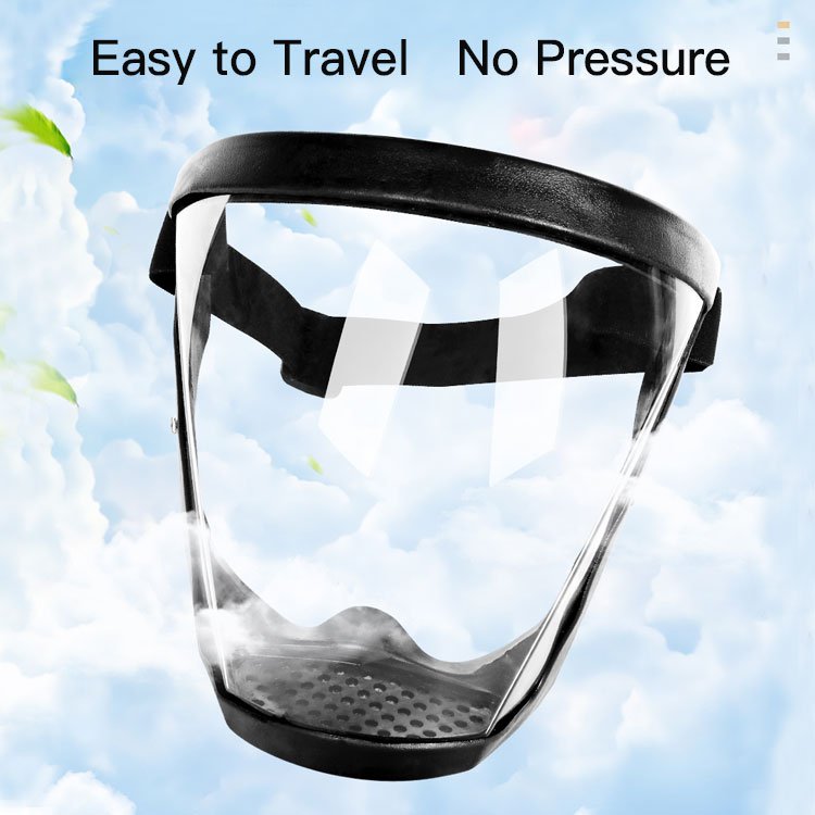 Full Face Protective Covering