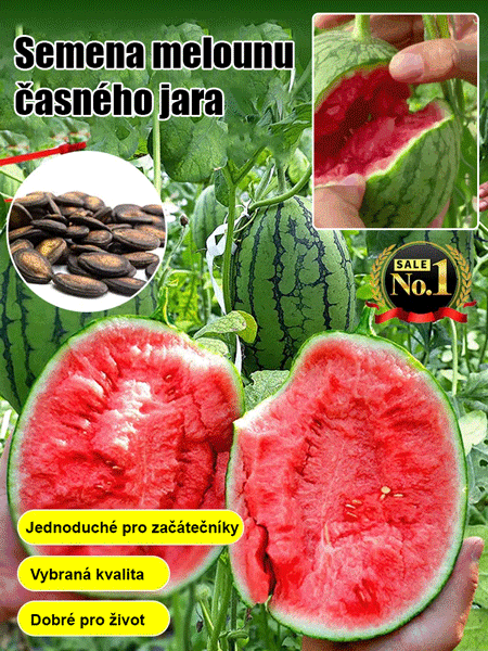 Semena melounu Red Jade