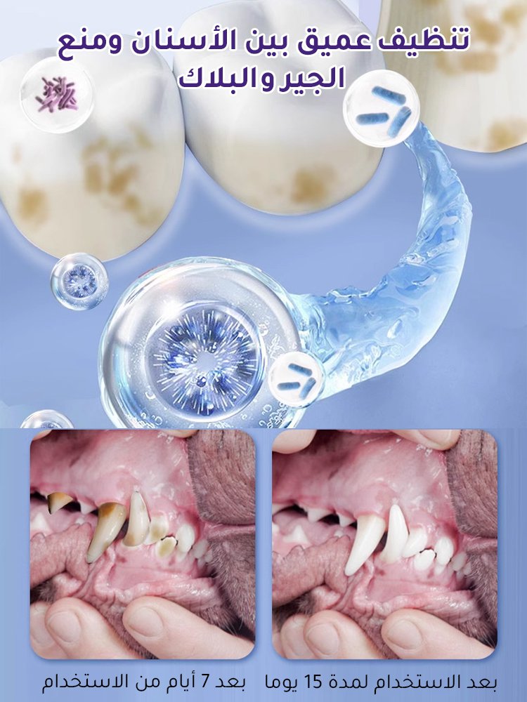 بخاخ تنظيف لأسنان وفم الحيوانات الأليفة[القضاء على جير الأسنان في 7 أيام]