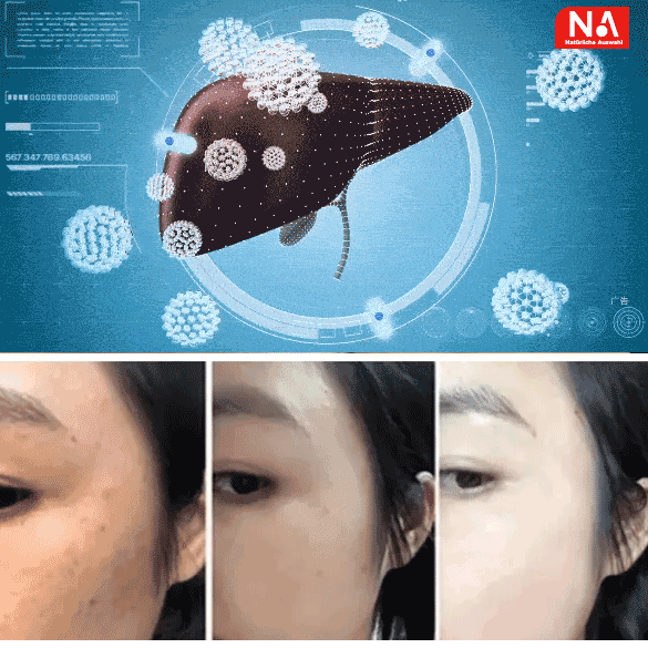 Comprimidos de aceite de semilla de cardo mariano, ganoderma, ginseng, pueraria y astrágalo