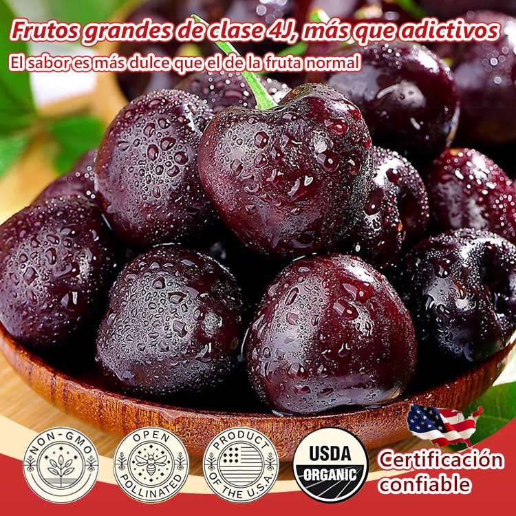 Semillas de Cereza de Chile