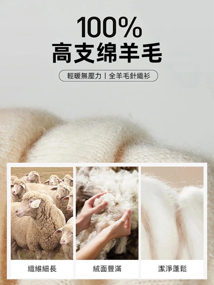 軟糯百搭V領長袖針織打底衫女