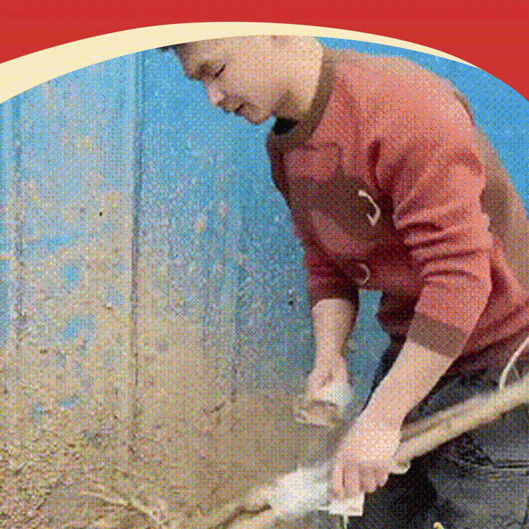 Semillas de Cereza de Chile