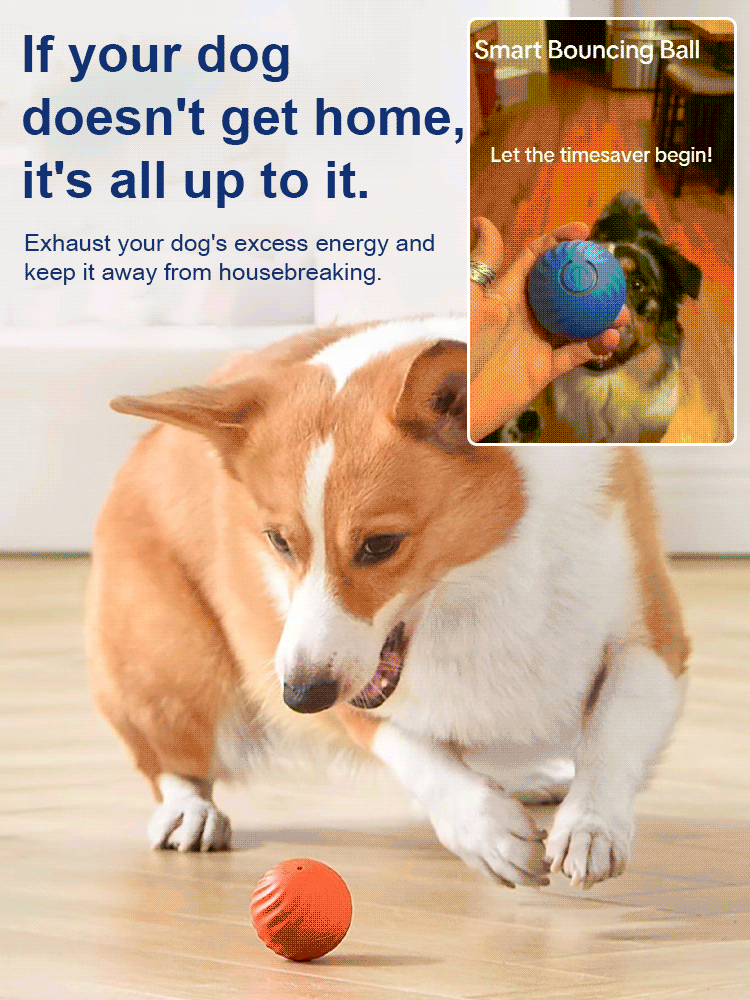 Cat and Dog Relief Gravity Jumping Ball